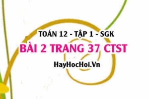 Bài 2 trang 37 Toán 12 tập 1 Chân trời sáng tạo